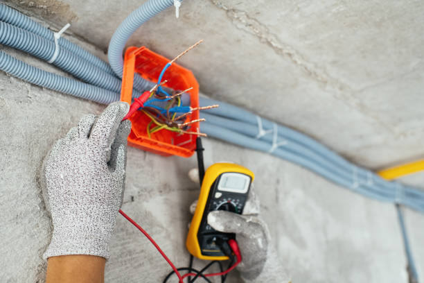 Best Generator Installation Services  in Waynesboro, VA